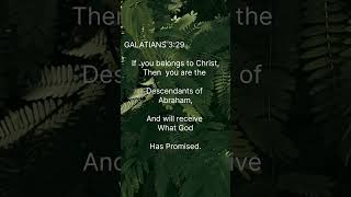 🟥||🔺 GALATIANS 3:29 🕊️😇❤️🙏 | DESCENDANTS OF ABRAHAM 🔻||🟥