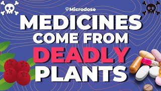 Deadly Plants = Good Medicines | Jackie von Salm, CEO Psilera | The DMT Conference