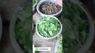 Rabbit oil making full video watching wmc channal