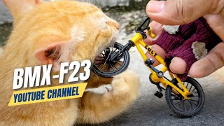 I was playing with my finger BMX and got interrupted by a naughty monster cat | bmx techdeck