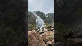 Lodh Waterfall Netarhat #shortvideo #minivlog #vlog #waterfall #lodhwaterfall