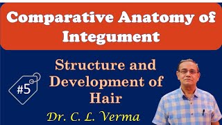 Structure and Development of Hair