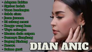 DIAN ANIC FULL ALBUM TARLING TERPOPLUER