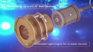 SeaBlaze Typhoon Underwater Lights by Lumitec