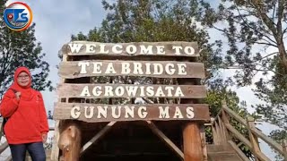 Tea Bridge Agrowisata Gunung Mas  Bogor // Tari Setya