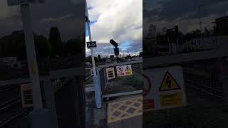 Trains at Clapham Junction[03/11/23]