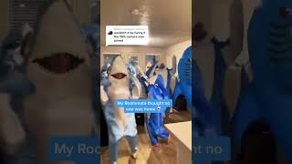 15th Camerman joins Viral Sharks #LeftShark #KatyPerry #DancingShark #DancingSharks #CaliforniaGurls