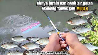 MANCING TAWES EKOR MERAH DI AIR JERNIH ITU MUDAH KALAU TAU TEKNIK NYA. #mancing #mancingtawes