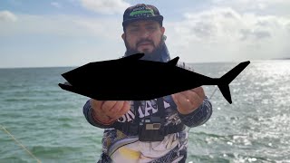 Captura Inesperada en el Muelle | Pesca de Orilla