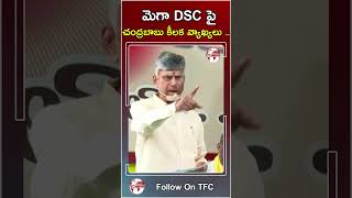 మెగా DSC పై చంద్రబాబు కీలక వ్యాఖ్యలు..#cmchandrababu #megadsc #apnews #appolitics#shorts