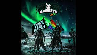 Death Metal Rabbits - Арктические Ниндзя Трансгендеры (FULL ALBUM) (2021)