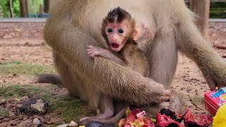 Fall love you baby. newborn baby Rainbow really happy and Smiles 🐒💗🥰😍👍💓