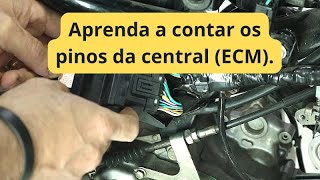 Aprenda a contar os pinos da central (ECM), assista até o final.