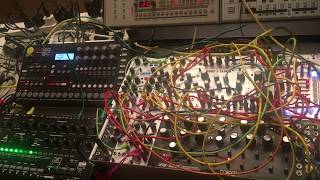 Modular percussion with DFAM, Avalon Bassline + A4 +TR09 +TB03