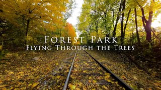 Forest Park - Flying Through the Trees in Fall