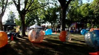 Cotati Hamster Balls