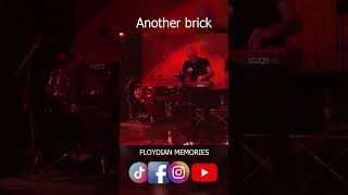 Another brick in the wall - Floydian Memories