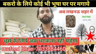 Lucknow Me Koe Bhi Bhusha Le Sakte|Animals Supper Store Lucknow |Vimalumrao