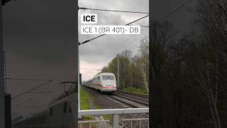 Ein ICE 1 (BR 401) an der Eisenbahnbrücke beim Bahnhof Pirscheide in Potsdam | ÖPNVinBB | #shorts