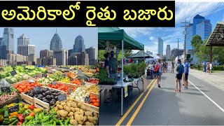 అమెరికాలో  రైతు బజార్|| రైతు బజార్ in USA ||Telugu Vlog From USA||Telugu Vlogs