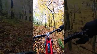 take it easy #enduro #mtb #trekbikes #rail #ebike #insta360go3 #bosch