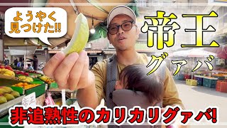 【台湾の旅5】 台湾の国民的フルーツ！カリカリ食感の非追熟性のグァバ「帝王」！！！