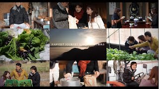 京都府亀岡市×農泊（京都府亀岡市：Harvest Journey Kameoka実行委員会）