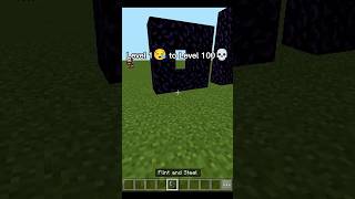 Level 1 😴 to Level 100 💀(Nether Portal)#shorts #viral #minecraft #level