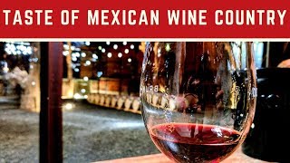 Taste of Mexican Wine Country in Valle de Guadalupe