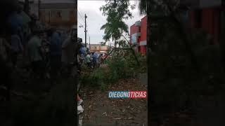 Se cayó este árbol🌳frente al Mercado Popular Villa Julia - avenida Alfonso López #Villavicencio.