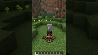 There Is An 8.25% Chance That A Pillager Drops Its Crossbow When Killed (Minecraft Fact)