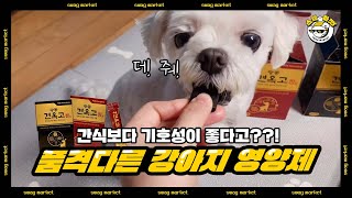 부모님이 홍삼인 줄 알고 드실 뻔했대요.. 혀가 먼저 마중 나가는 반려견 영양제!ㅣ스웩마켓 @godobok​