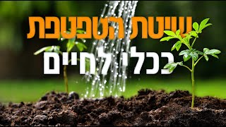 הרב נחמנסון - כך הצליח מדען ישראלי ליצור פטנט ששינה את פני הטבע