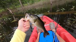 I bought a kayak!!! #jrtc #fortpolk #pondhopping #bassfishing #subscribe