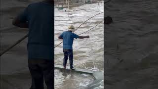 Real Life 100% Net Fishing In River At The Countryside. (Episode 90)