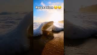 #AmazingVideos #Entertainment #YouTube #ViralVideos #viral #Humor #relaxing #viralreels #viralshorts