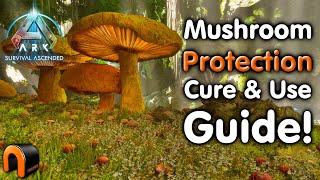 Ark MUSHROOMS Aberration CURE & USE Guide!