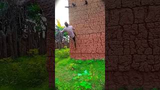 The wall flip learned easy in 30 seconds  qani dostlar o’rganamiz #wallflip