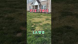 Quick Steps To START Repairing Your Lawn #shorts