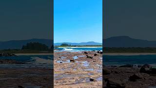 Walking on the rock at windang island, windang Australia #beach #travelaustralia  #australia