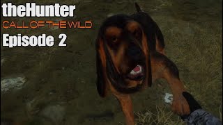 I love my virtual dog! - theHunter: Call of the wild - PS5