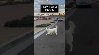 El Perrito Más Feliz 😃