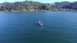 crabbing tillamook channel