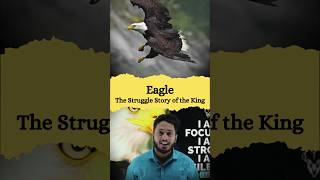 The Struggle of the Eagle | Motivation to win in the Life #trending #motivation #exammotivation