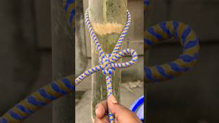 Very strange knot , very strong #trending #shorts #ytshorts  #englishreels #usareels