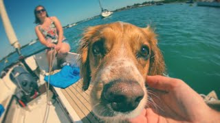 Exploring Chichester Harbour by boat