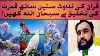 "Soulful Quran Recitation"/ with Nature Scenes, Peaceful Moments Serene Atmosphere Quran tilawat.