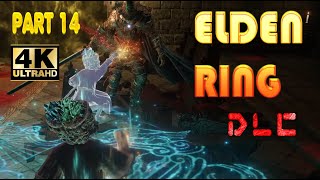 Elden Ring gameplay Class Astrologer Elemer of the Briar,Draconic Tree Sentinel Boss Fight #14