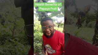 Health Benefits of #Papaya #Fruit