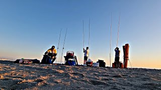 GRAN CAPTURA SOLITARIA, PESCA SURFCASTING GRANADA